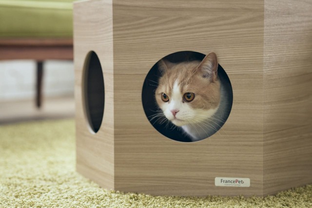 【フランスペット】「ペットハウス ヘキサ」