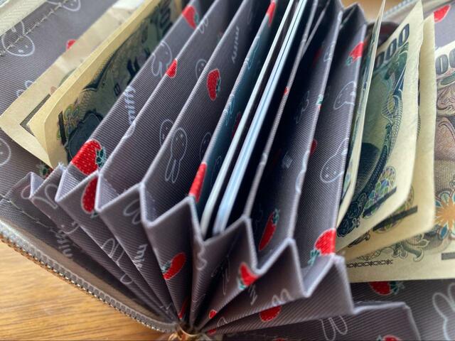 【宝島社　miffy カードが見やすい じゃばら式ミニ財布 BOOK WHITE】気づいたらカードが増えているあなたにおすすめ