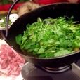 大人気のパクチー鍋