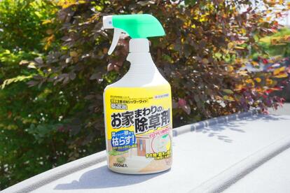 img_1ac1595ab95281bf28d2f5b578