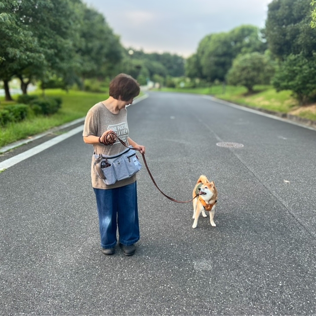 【KAINU犬用お散歩バッグ大容量ウエストポーチ】ベルトは約62〜125cmの間で長さ調節可能。家族共用で使えるので便利です