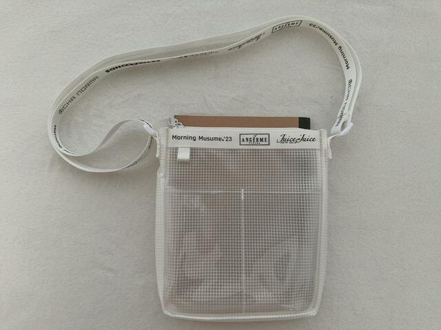 入れられるアイテムはA5サイズ以下が目安【GU】クリアバッグ HELLO! PROJECT(カラー01 OFF WHITE):1,990円(税込)