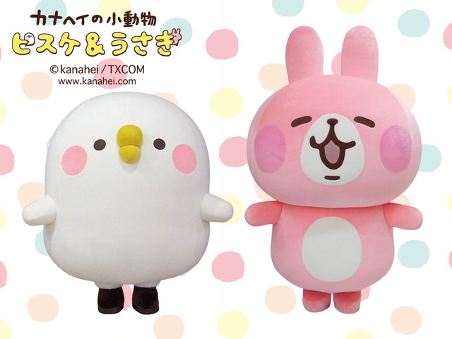 ピスケとうさぎの写真撮影会