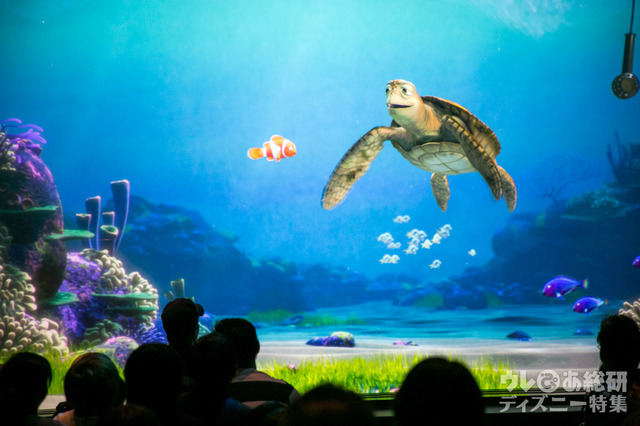 タートル・トーク｜東京ディズニーシー