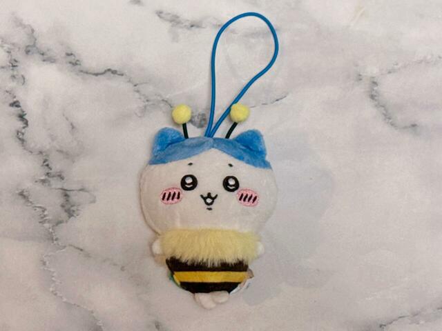 ハチワレが来てくれました！よかった…！