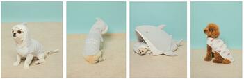 CAT&DOGCAT&DOG'スムーズィー'シャークフーディ ¥5,940CAT&DOG シャーク柄ウェア ¥3,960カラー:ブルーサイズ:S/M/LCAT&DOG'スムーズィー'シャークハウス ¥14,520カラー:ブルーサイズ:フリー※CAT&DOGは一部店舗のお取り扱いとなります。詳しくは下記「商品情報」をご覧ください。