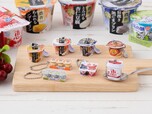まずは全種類をまとめて。各商品のアップは次の写真から！→【雪印メグミルク ミニチュアチャーム ～ヨーグルト＆デザートシリーズ～】のラインナップ