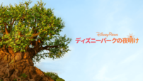 『ディズニーパークの夜明け』ディズニープラスで配信中
