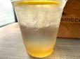 【CAFE BRICCO レモネードウォーター アイス】夏はアイスをごくごく、冬はホットで楽しみたい