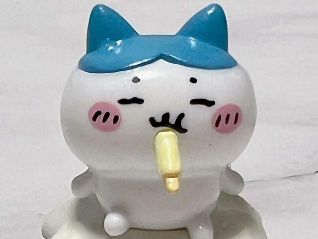 整った後のハチワレのポヤポヤ顔、たまらなくキュートです！