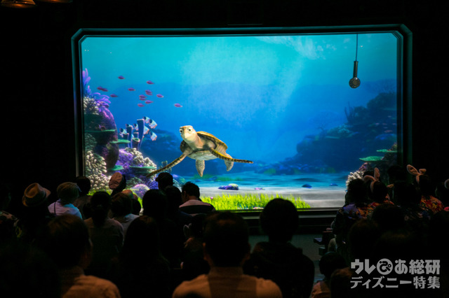 タートル・トーク｜東京ディズニーシー