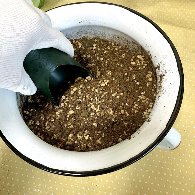 【観葉植物の植え替え】土をブレンドする場合はしっかり混ぜましょう