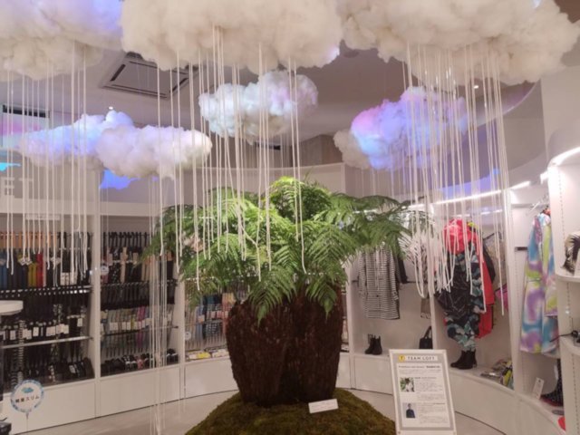 「原始森林の雨」は太古の植物「ディクソニア」と最新の技術がコラボ