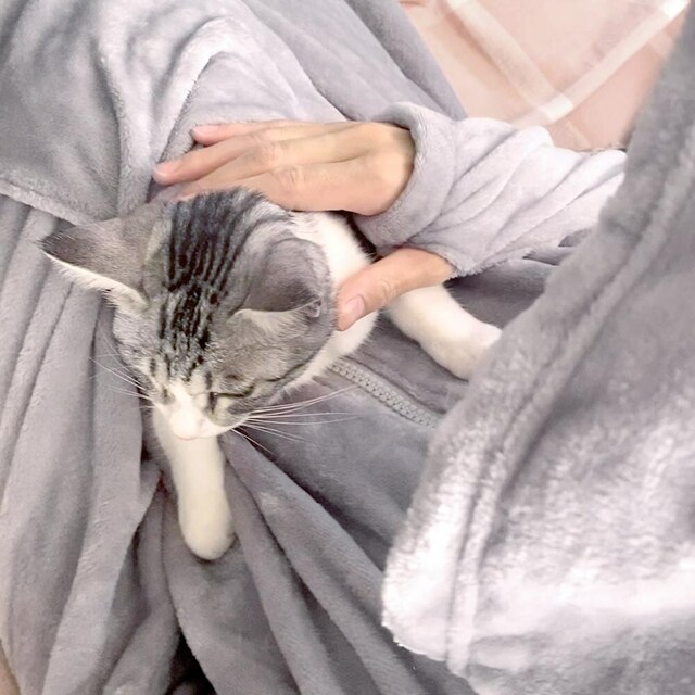 【ベルメゾン】ペットとまったりすることだけを考えた着る毛布