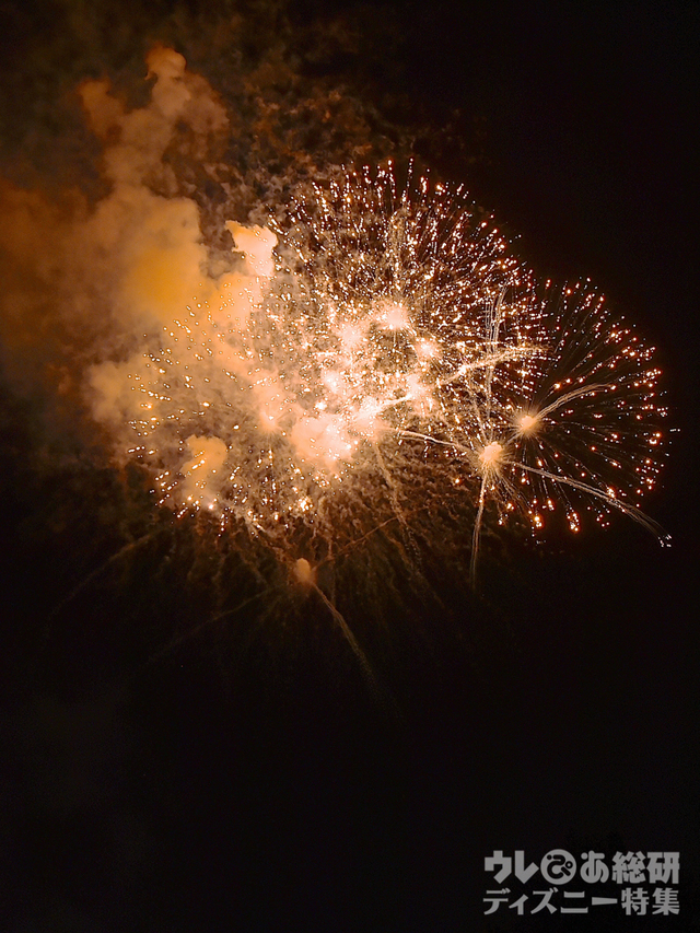 ブランニュードリーム｜東京ディズニーリゾート35周年“Happiest Celebration! ”