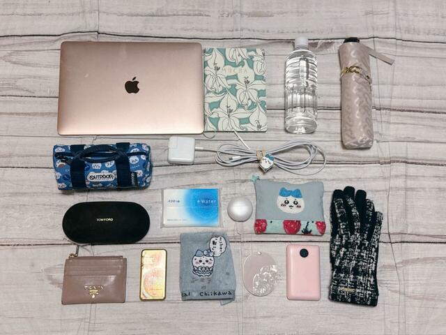 大きいバージョンではこれだけの荷物が収納できました