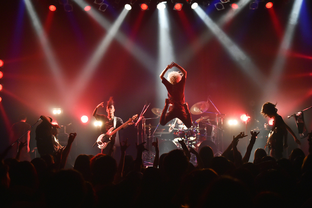 THE BLACK SWAN/撮影・スズキメグミ