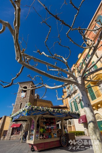 樹形は剪定の賜物