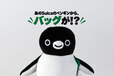【紀ノ国屋「Suicaのペンギン マスコットバッグ」】2026年10月末発売予定！