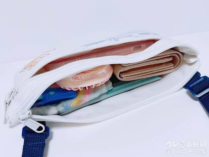 ディズニー新作グッズ】こんなに入れば合格!!「ダッフィーのショルダー