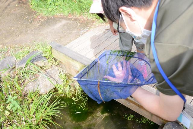 京の里山いきもの観察　