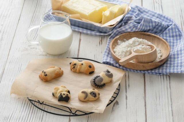 アデリー(山口・柳井市)/ちいさな森のドーナツ