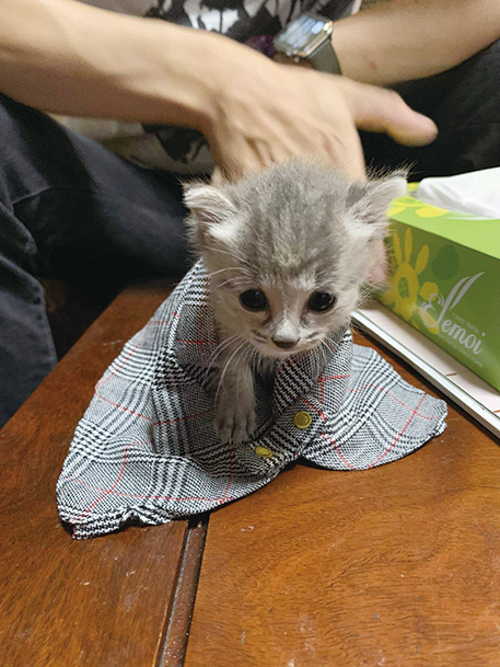 フォトコンテスト