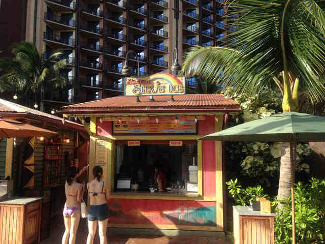 毎日通う人も多いです、パパルアシェイブアイス。