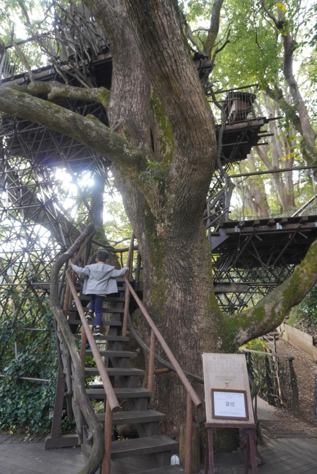 【星野リゾート　リゾナーレ熱海】ツリーハウス