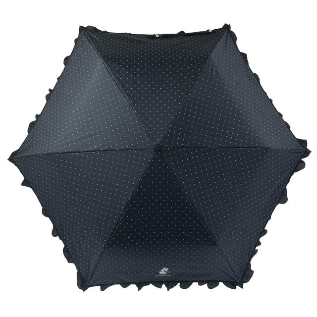 ミニー 折りたたみ傘 晴雨兼用 SHINY DAY 4,000円