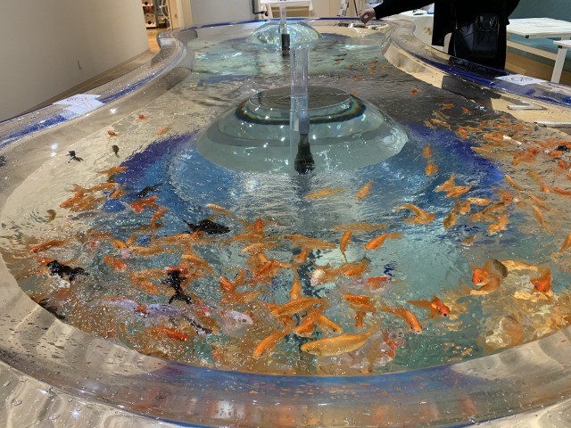 お馴染みの金魚もいて涼しげ
