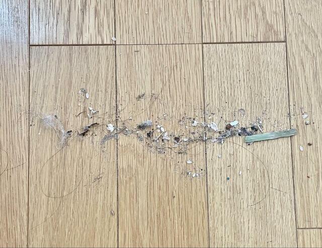 【激安スティック掃除機】吸引力を検証します