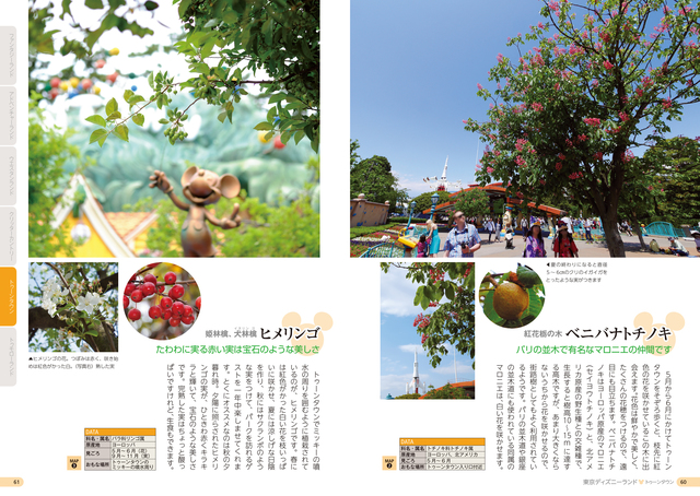 オフィシャルカメラマン西川さんがパークで一番好きだというヒメリンゴ。ミッキーの家の前に植えられている。