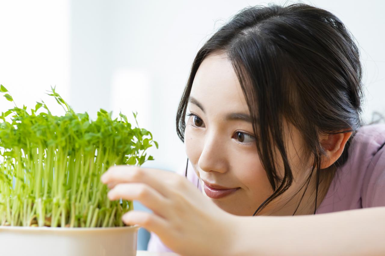 簡単 やってみたい リボベジ野菜 健康面のメリットと育て方 1 2 ハピママ