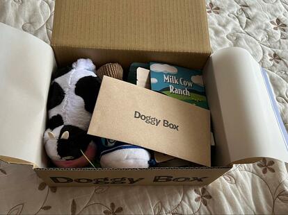 愛犬へのプレゼントに！「Doggy Box」はおもちゃとおやつが