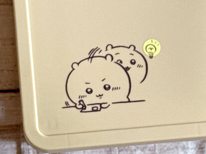 あると便利な「ちいかわグッズ」絶妙サイズで持ち運びも楽ちん！本屋