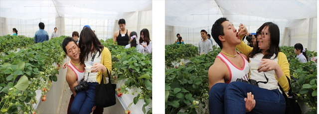 まだほとんどイチゴを食べていないのにつかまった