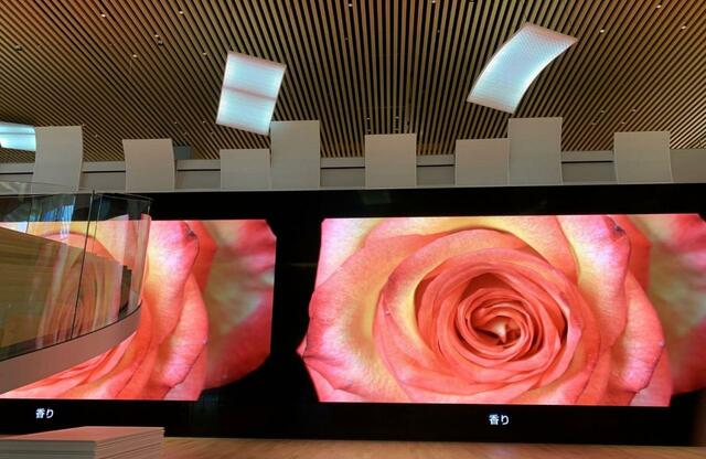 【S/PARK】LED大型ビジョンは美しさと迫力が圧巻