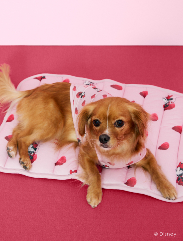 COOLプルオーバー ￥4,290、COOLマット ￥5,280｜ジェラート ピケ「ディズニー ミニーマウス コレクション」