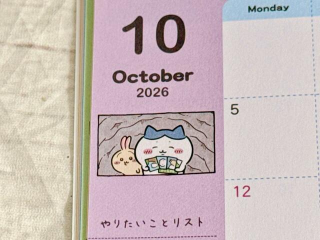 月表示の下に描かれたイラストは写真風。これってハチワレのカメラで撮った写真ってコト…!?