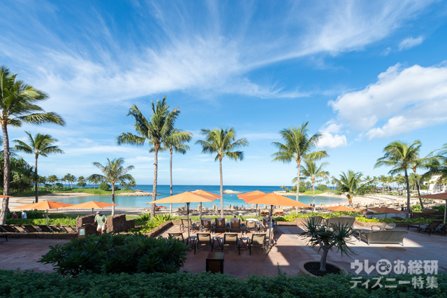 レストラン「アマアマ」|アウラニ・ディズニー・リゾート&スパ コオリナ・ハワイ