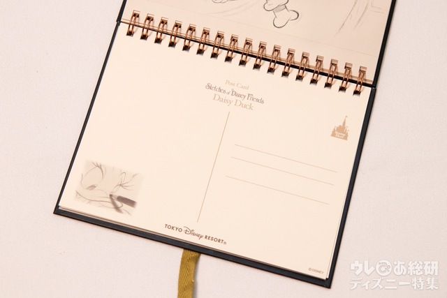 ポストカード 1600円｜デイジー