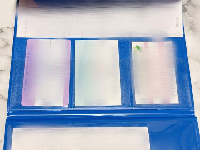 カードポケットには診察券を収納【フラットケース（ちいかわ）】