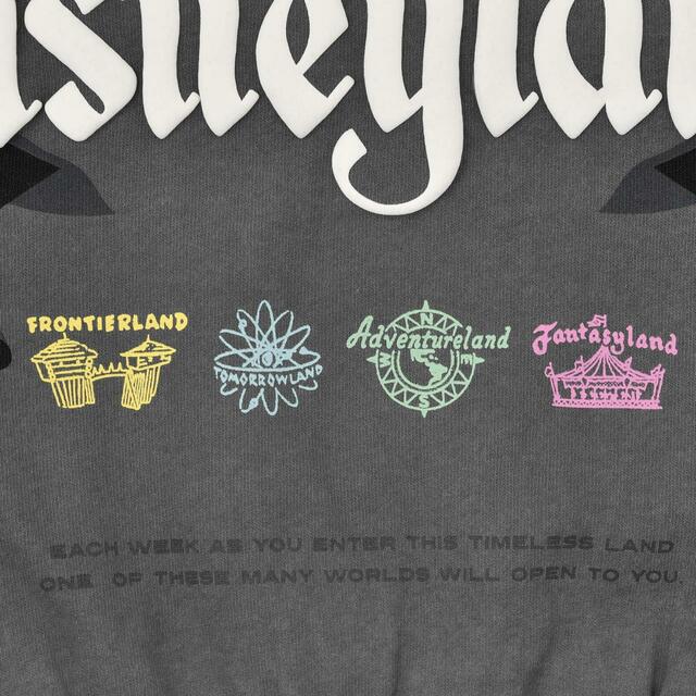 ティンカー・ベル パーカー ブラック M L Disney100 The Eras Collection Disneyland 8,800円