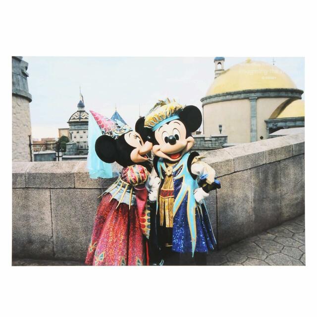 写真 500円|東京ディズニーリゾート・フォトグラフィープロジェクト「イマジニング・ザ・マジック」第2弾グッズ|東京ディズニーリゾート40周年“ドリームゴーラウンド”|発売日:2023年12月7日(木)|販売店舗:東京ディズニーランド「グランドエンポーリアム」、東京ディズニーシー「ヴァレンティーナズ・スウィート」