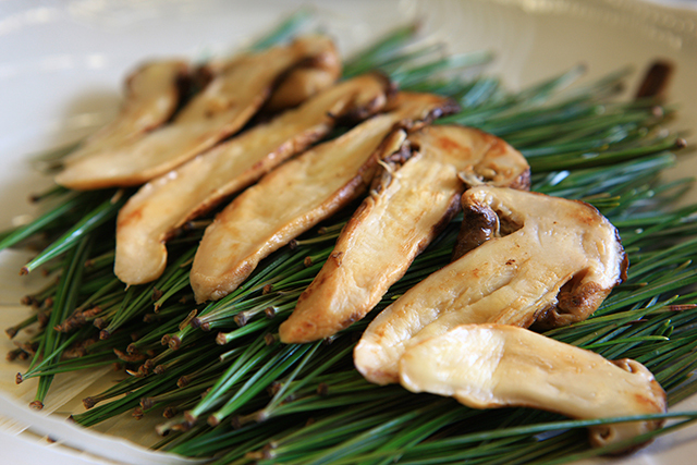 松茸　写真提供：江原道、韓国観光公社