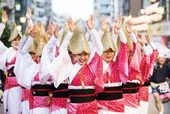 第60回東京高円寺阿波おどり