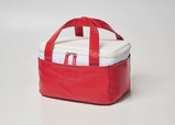 【『Coleman BRAND BOOK #08 保冷バッグ RED』(宝島社)】コールマンの大ヒットクーラーボックス「テイク6」をモチーフにしたデザイン