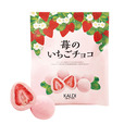 オリジナル 苺のいちごチョコ