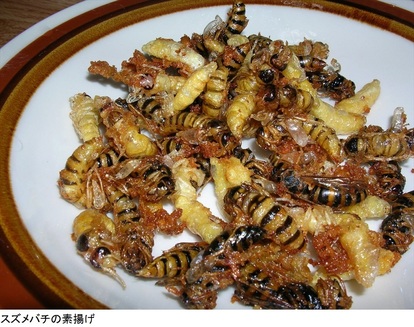 閲覧注意 虫料理 の 珍レシピ を競う 虫食いフェス のクオリティがヤバい 1 3 ヤバチケ